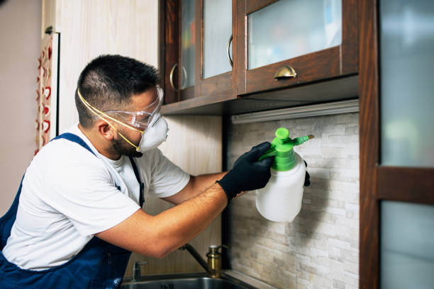 Best Affordable Pest Control Services  in Hebron, NE