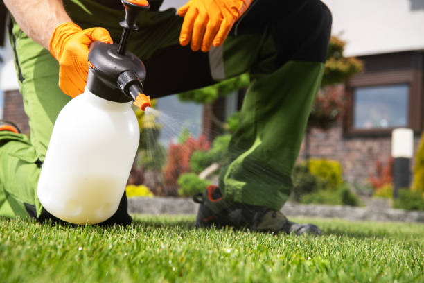 Professional Pest Control in Hebron, NE