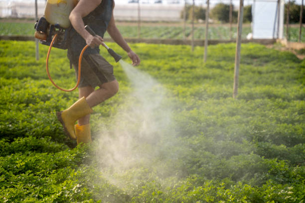 Best Exterminator Services  in Hebron, NE