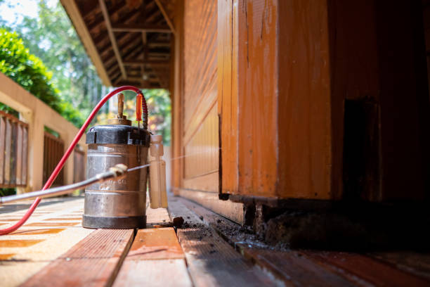 Best Wasp Removal Services  in Hebron, NE