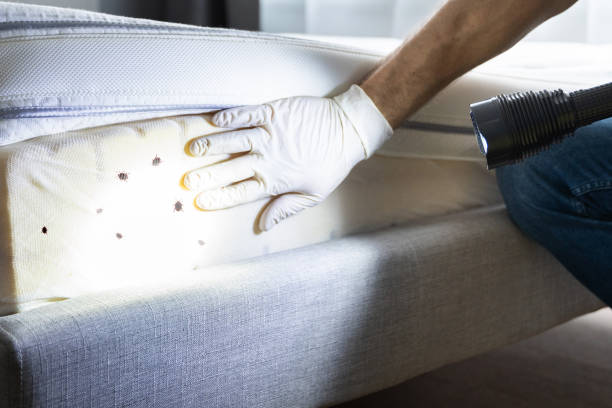 Best Best Pest Control Companies  in Hebron, NE
